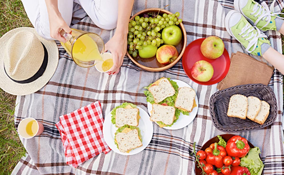 J&K Admin Bans School, College Picnics On Weekends, Holidays