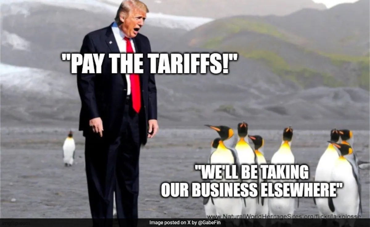 Penguin Memes Fill Internet After Trump Tariffs An Uninhabited Island